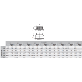 Sienos perėjimas 200/ 160-CZ2-S keramikiniams kaminams