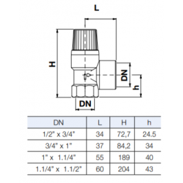 Apsauginis vožtuvas1/2" 1.5bar (10004636)