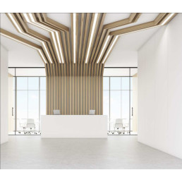 Profilis aliuminis anoduotas LED juostoms, priglaistomas, VARIO30-04, 2m, TOPMET