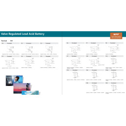 Akumuliatorius 12V 2.9Ah T1(F1) Pb AGM NPP