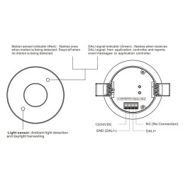 DALI sistemos judesio ir apšvietos jutiklis 12V/ 24V/ 36V, įleidžiamas, PIR
