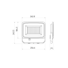 Lauko šviestuvas LED 100W neutraliai balta 230Vac, 10000lm, IP65, juodas, PHOTON, LED LINE