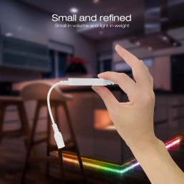 Skaitmeninių LED juostų valdiklis, 12-24Vdc, 3A, 800pix, su mikrofonu, WLED ESP32 Wi-Fi