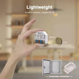 Išmani relė MINI, ZigBee + RF, 230Vac / 12-48Vdc, su jungiklio jungtimi, MQTT