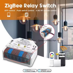 Išmani relė MINI, ZigBee + RF, 230Vac / 12-48Vdc, su jungiklio jungtimi, MQTT