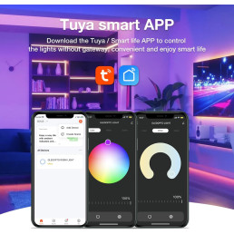 LED valdiklis Wi-Fi + RF MINI, 12-24Vdc, 6A/ CH, 10A MAX, RGB, RGBW, RGB+CCT, CCT, DIM, PUSH-DIM