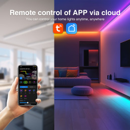 Skaitmeninių LED juostų valdiklis, 5-24Vdc, 15A, 1000pix, Wi-Fi + RF, TUYA / Smart Life