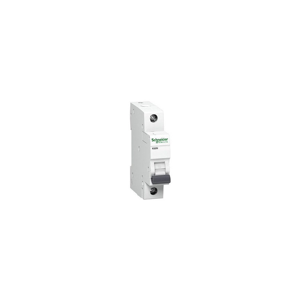 Automatinis jungiklis K60N. 1P, 6A, Kreivė B, 6kA