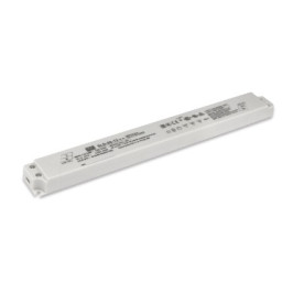 Impulsinis maitinimo šaltinis LED 24V 2.1A, 16.8x30x280mm, MEAN WELL