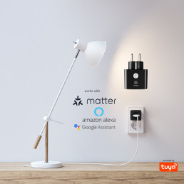 Išmanioji Wi-Fi rozetė, Wi-Fi, 3680W 16A, su energijos matavimu, MATTER, TUYA, WOOX