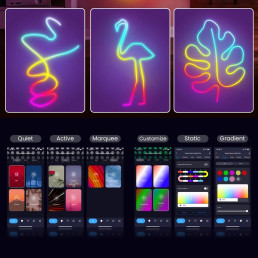 LED juostos NEON FLEX rinkinys, RGB skaitmeninė SPI, 3 metrai, su Wi-Fi TUYA valdikliu