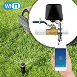 Išmanusis Wi-Fi vandens ir dujų sklendės valdiklis, juodas, Tuya / Smart Life