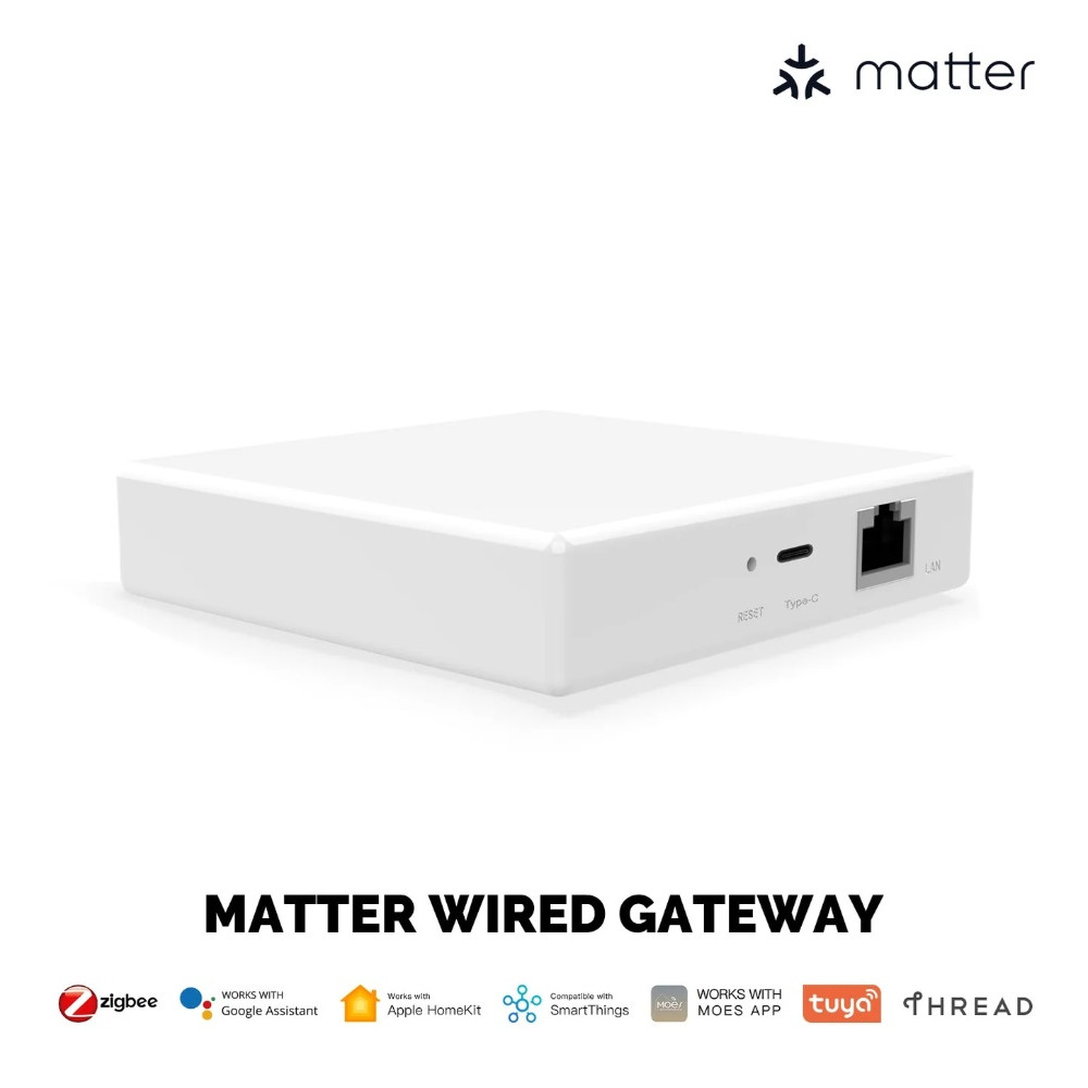 Išmanių namų MATTER komunikacijos stotelė, ZigBee BRIDGE, TUYA / Smart Life