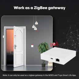 Išmanių namų MATTER komunikacijos stotelė, ZigBee BRIDGE, TUYA / Smart Life