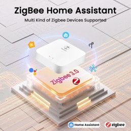 ZigBee signalo stotelė skirta Home Assitant / TUYA, USB, ZigBee 3.0 +20dBm