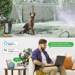 Išmanusis laistymo sistemos valdiklis, Wi-Fi, TUYA, programuojamas