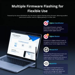 Išmanių namų tinklo adapteris Dongle PLUS MG24 Zigbee/ Thread MQTT