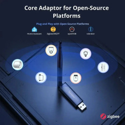 Išmanių namų tinklo adapteris Dongle PLUS MG24 Zigbee/ Thread MQTT
