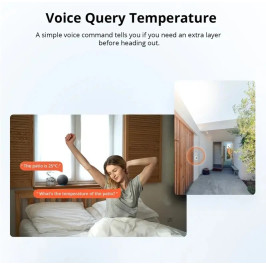 Išmanus temperatūros jutiklis ZigBee 3.0 IP65 CR2477