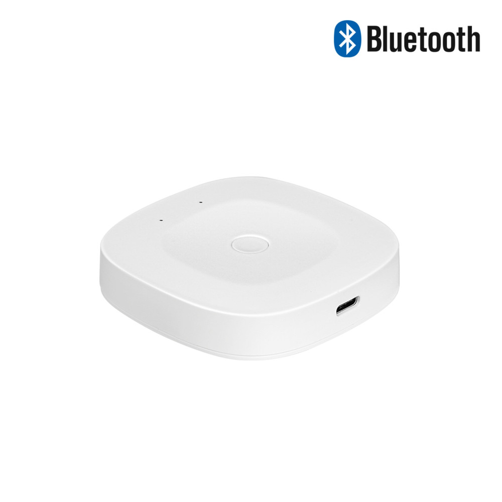 Išmanių namų Bluetooth - Wi-Fi signalo stotelė, USB C, BRIDGE, MESH, TUYA / Smart Life