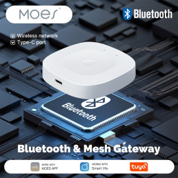 Išmanių namų Bluetooth - Wi-Fi signalo stotelė, USB C, BRIDGE, MESH, TUYA / Smart Life