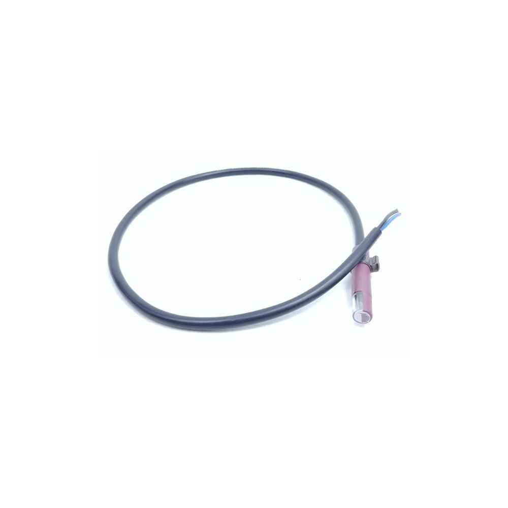 Liepsnos jutiklis Elektromet Estyma valdikliui 819-00-123