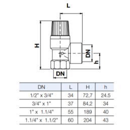Apsauginis vožtuvas 3/ 4" 6bar (10004724)