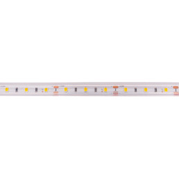 LED juosta, 5m ritė, 12V 14.4W/ m hermetiška IP68 T formos šaltai balta 6500K