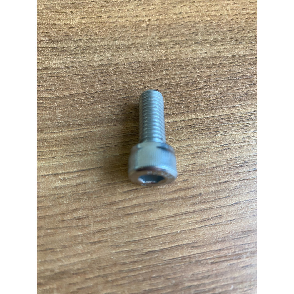 Modulio laikiklio varžtas A2 M8x20 mm (1 vnt.)
