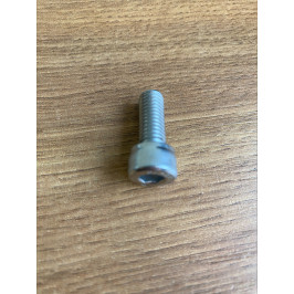 Modulio laikiklio varžtas A2 M8x20 mm (1 vnt.)