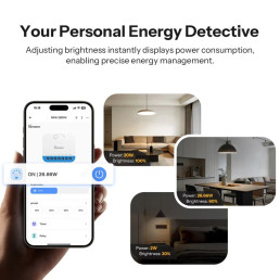 Išmanus sieninis šviesos reguliatorius MINI-ZBDIM, Zigbee, 0-100% ryškumo reguliavimas, su energijos matavimu, SONOFF